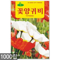 꽃양귀비 씨앗 1000립 / 꽃양귀비씨앗 개양귀비씨앗 양귀비꽃씨앗 꽃씨 씨 야생화씨앗 야생화 야생꽃씨, 10_청농_꽃양귀비(1000립)