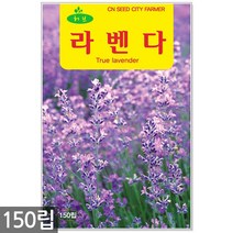 스피아민트 씨앗 2000립 / 허브씨앗 스피아민트씨앗 허브씨 허브 스피아민트씨 씨, 02_허브_라벤다(150립)