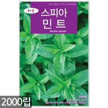 스피아민트 씨앗 2000립 / 허브씨앗 스피아민트씨앗 허브씨 허브 스피아민트씨 씨, 09_허브_스피아민트(2000립)