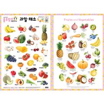 (98무배) 룰루랄라 사운드벽보 과일 채소(양면코팅벽보)