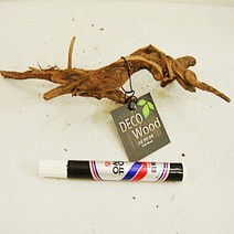 [아이사이언스에듀] 랜덤 가지유목 중B 유목