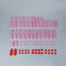 체세포분열/감수분열 모델(14종80점) /교구6092