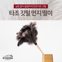 혀니컴퍼니 타조털 먼지떨이 흡착식 먼지제거 인테리어소품 청소도구 미세먼지제거 청소솔