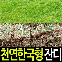 순희농장 잔디, 300장