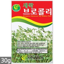 보리 새싹 씨앗 50g / 새싹씨앗 보리씨앗 보리새싹씨앗 새싹보리 보리씨 캣그라스 캣글라스 고양이풀, 13_새싹씨앗_브로콜리(30g)