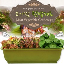 세경팜 고기쌈 텃밭세트(상추 깻잎) 키우기, 그린화분(상추,깻잎)