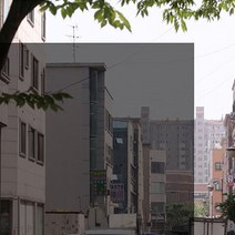포커스더블유 자외선차단 99% 국산 썬팅지 17종, SM20
