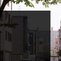 포커스더블유 자외선차단 99% 국산 썬팅지 17종, DBK05