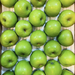 [단독특가] 고당도 유명산지 썸머킹 아오리사과 청사과, 1박스, 5kg