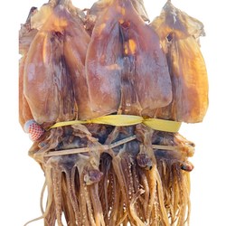동해안 구룡포 해풍  건조오징어 마른 오징어 대, 중 , 소 (10마리)