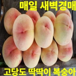 매일 새벽경매 고당도 딱딱이 복숭아, 1박스, 딱딱이 5kg