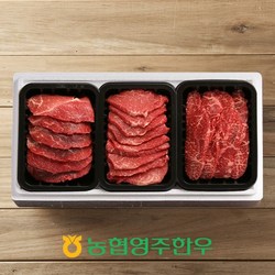 [농협영주한우]1++ 모듬구이 한판 1호 / 총 600g / 모듬구이x3