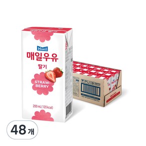 매일우유 멸균 딸기, 200ml, 48개