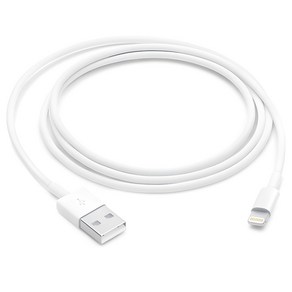 Apple Lightning-USB 케이블 MUQW3FE/A