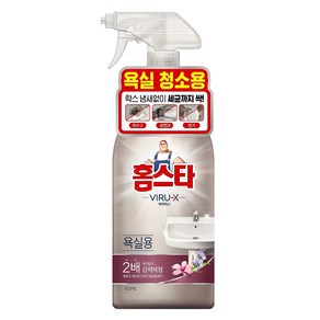 홈스타 바이럭스 세정제 욕실용, 750ml, 1개