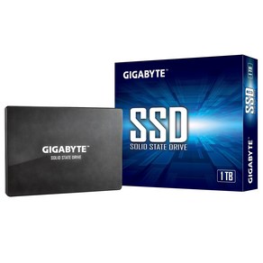 기가바이트 SSD, GP-GSTFS31100TNTD, 1TB