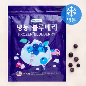 웰프레쉬 미국산 블루베리 (냉동), 500g, 1개