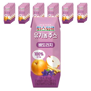 파스퇴르 유기농주스, 125ml, 24개, 배도라지