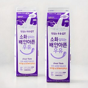 맛있는우유GT 소화 잘되는 배 안아픈 우유, 900ml, 2개