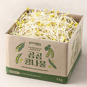 곰곰 콩나물, 2kg, 1박스