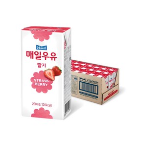 매일우유 멸균 딸기우유, 200ml, 24개