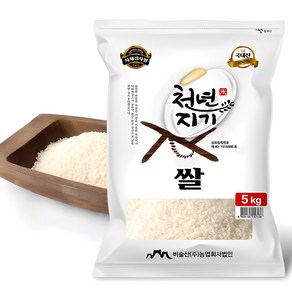 천년지기 백미