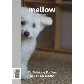 [펫앤스토리]멜로우 매거진 Mellow dog volume 6, 펫앤스토리