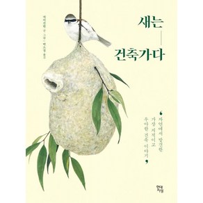 새는 건축가다:자연에서 발견한 가장 지적이고 우아한 건축 이야기, 현대지성, 차이진원