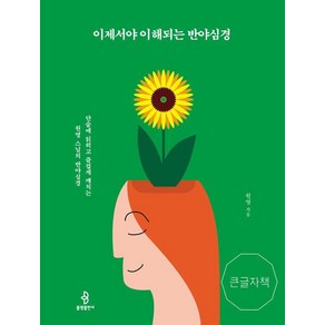 이제서야 이해되는 반야심경(큰글자책):단숨에 읽히고 즐겁게 깨치는 원영 스님의 반야심경