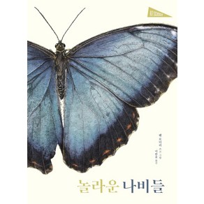 [보림]놀라운 나비들 - 아트사이언스 (양장)