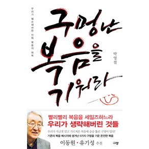 구멍 난 복음을 기워라:우리가 훼손해버린 진짜 복음의 회복