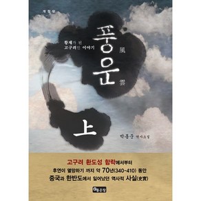 풍운(상):박홍준 역사소설, 좋은땅, 박홍준 저