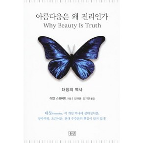 아름다움은 왜 진리인가:대칭의 역사