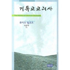 기독교교리사