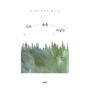 시의 숲을 거닐다:열 개의 테마로 읽는 시, 태학사, 박민영