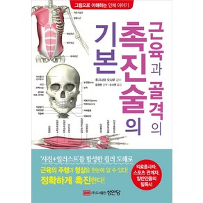 근육과 골격의 촉진술의 기본:의료종사자 스포츠 관계자 일반인들의 필독서