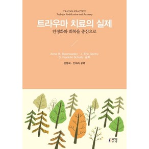 [박영스토리]트라우마 치료의 실제 (안정화와 회복을 중심으로), 박영스토리, Anna B. BaanowskyJ. Eic GentyD. Fanklin Schultz