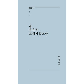 내 영혼은 오래되었으나:허수경 시집, 문학동네, 허수경