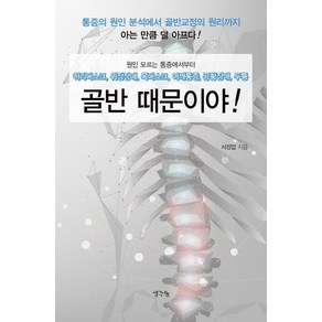 골반 때문이야:원인모르는 통증에서부터 허리디스크 위장장애 목디스크 어깨통증 공황장애 두통, 서정업, 생각나눔