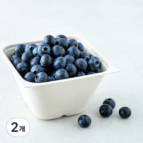 아주마 GAP 인증 산지직송 인디고 블루베리, 2개, 250g