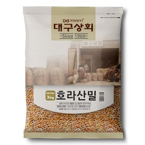 대구상회 호라산밀, 2kg, 1개