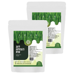 바른건강 새싹보리 분말, 500g, 2개