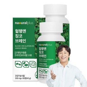 내츄럴플러스 혈행엔 징코 브레인 45g