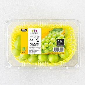 아리당찬 당도선별 샤인머스캣, 600g, 1팩