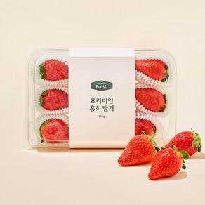 프리미엄 홍희 딸기, 350g(6~9과), 1개