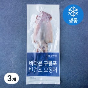 바다온 포항시 인증 구룡포건조 원양산 반건 오징어 3미 (냉동), 270g, 3개