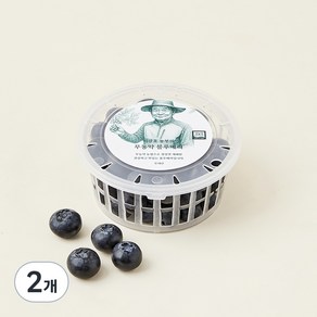 이광호 농부의 무농약 블루베리, 2개, 100g(특대과)