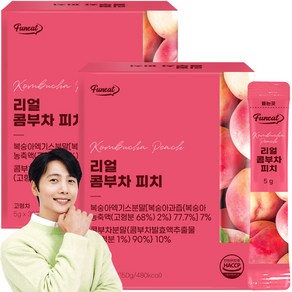 퍼니트 리얼 콤부차 피치맛 30p, 150g, 2개