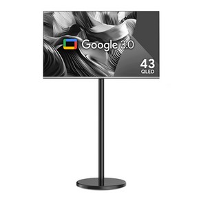 더함 FHD QLED 제로베젤 구글 OS 스마트TV + 삼탠바이미 스탠드 에센셜 세트, 109cm(43인치), NA431QLED IPS SH 2024C, MS22-231L(블랙), 스탠드형, 고객직접설치