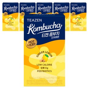 티젠 콤부차 진저레몬, 5g, 10개입, 6개